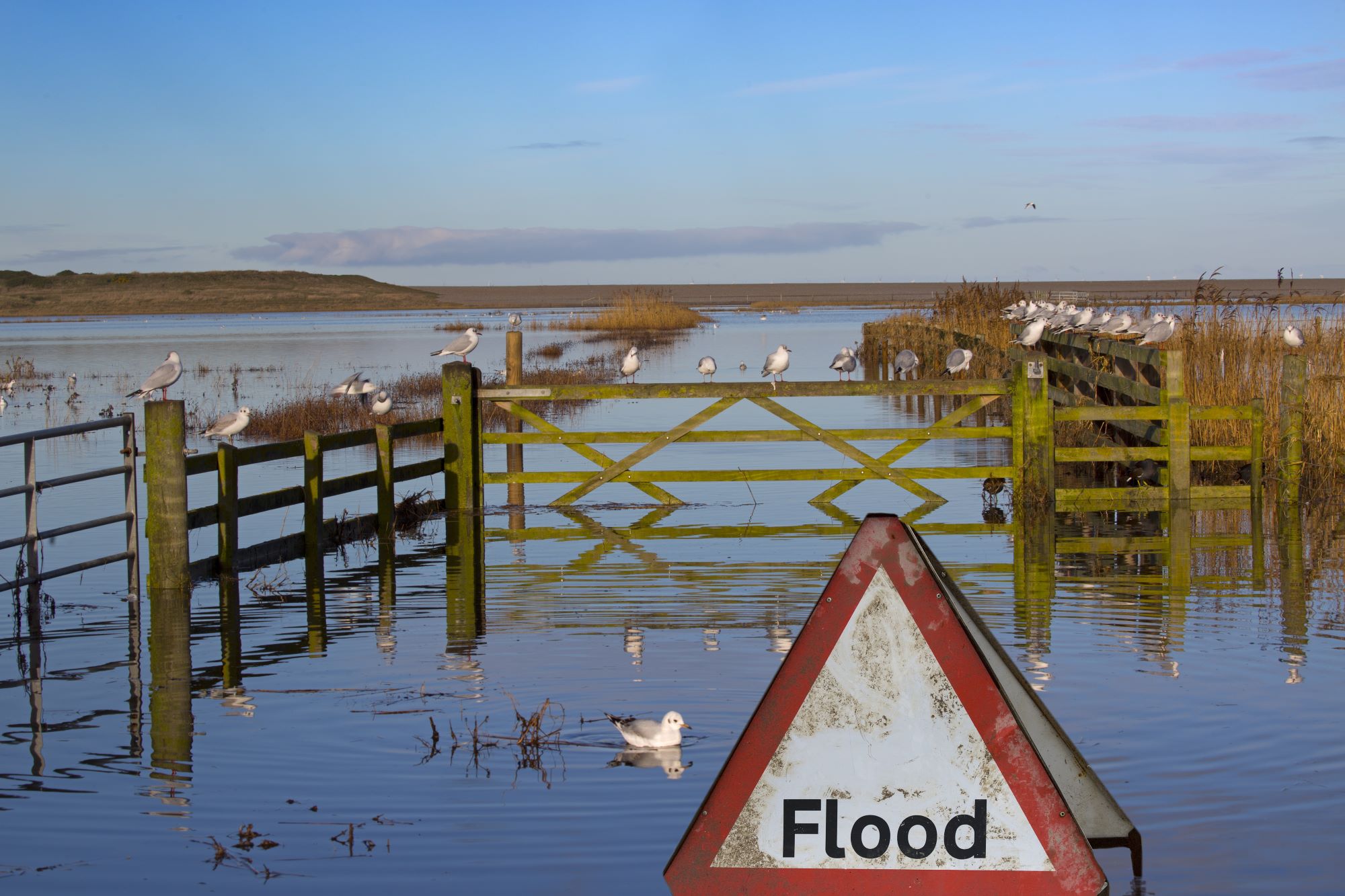 Flooded plain with triangle Flood warning sign